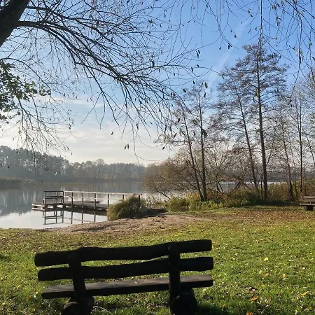 Pirol Am Vilzsee In Mirow