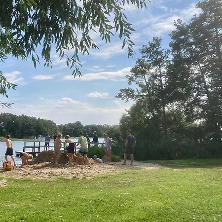 Pirol Am Vilzsee In * Mirow